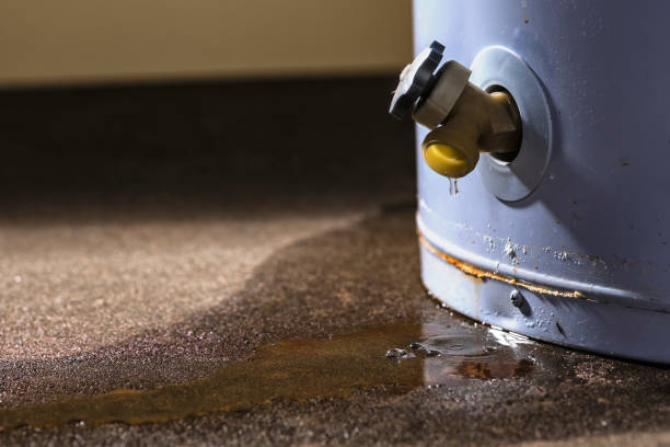 Best Sewage cleanup and water damage restoration  in Vista Center, NJ
