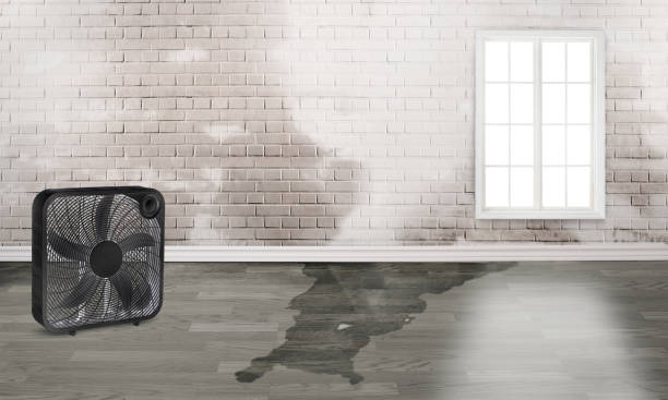 Best Commercial water damage restoration  in Vista Center, NJ