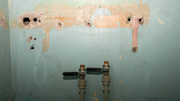 Best Carpet water damage restoration  in Vista Center, NJ
