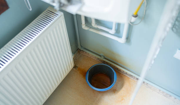 Best Basement water damage restoration  in Vista Center, NJ