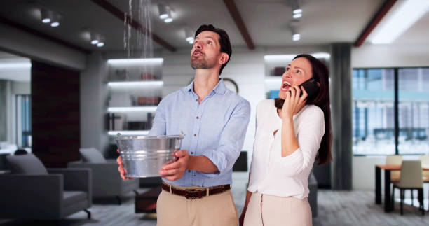 Best 24/7 water damage repair  in Vista Center, NJ