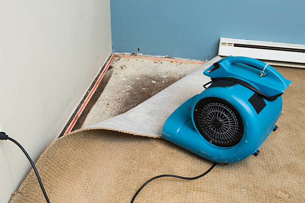 Carpet water damage restoration in NJ